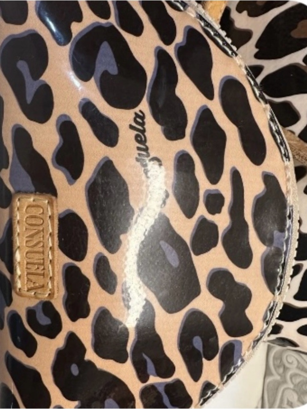 Consuela Leopard Print Cosmetic Case in Tan, Black & Purple Accents